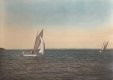 Sailboats