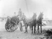 Horse and Carriage
