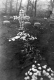 Cemetery