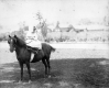 Girl and Horse