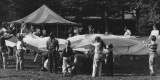 Wildlife Festival