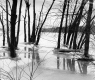 Icy Lake Champlain