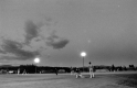 Baseball Under the Lights