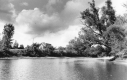 Summertime Lake