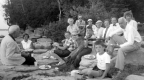 Grosse Point Picnic