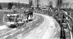 Horse and Carriage