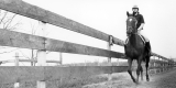 Horseback riding