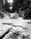 Snowy Landscape