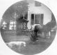 Horse and Dog