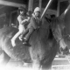 Three Kids on a Horse