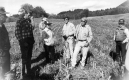 David Russell's Farm