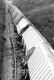 Train Wreck