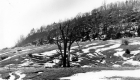 Farm Landscape