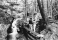 A Couple in the Forest