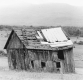 Wooden Shack