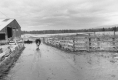 Farm Buildings