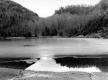 Icy Pond