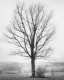 Vermont Landscape