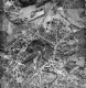 Aerial Image of Vermont town