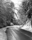 The First Snowfall