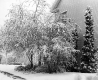 Elm Street in Middlebury