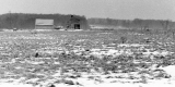 House in Hayfield