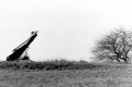 Farm equipment in a field
