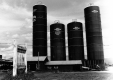 Harvestore Silos