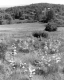 Addison County Landscape