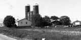 Victor Guesnel's Farm