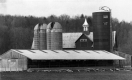 Dairy Farm