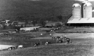 Farm in Addison County