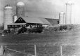 Farm Landscape