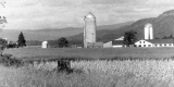 Addison Farm