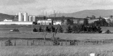 Addison County Farm