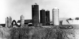 Farm Landscape