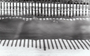 Wooden Fences