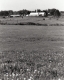 Farm Buildings