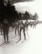The Great American Ski Chase