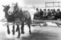 Vergennes Sleigh