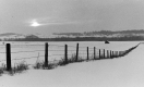 Snowy Sunset in Waltham