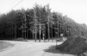 Foote St. Corner