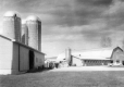 Farm Landscape