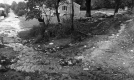 Flooded Road