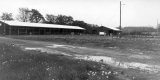 The Seed Trench