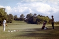 Golfing