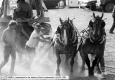 Addison County Field Day