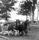 Field Day, Addison County