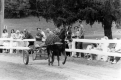 UVM Horse Farm Open House