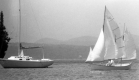 Sailboats